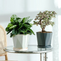 En gros nordique moderne style bon marché succulent cactus jardin en plastique Pottes de fleurs en plante Pot pour plantes pépinières